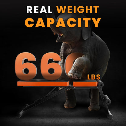 erstellbare Hantelbank Klappbar Trainingsbank Schrägbank mit 8-Fach Verstellbarer Fitness Schrägbank für Ganzkörperworkout 300KG Gewichtskapazitäts