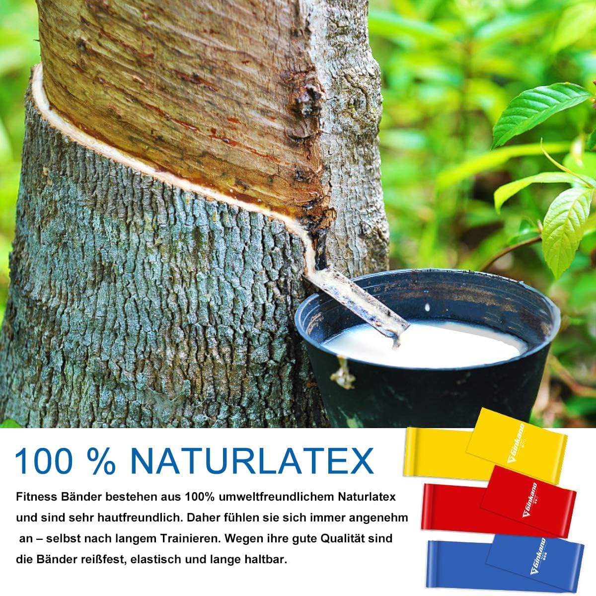 Fitnessband 3er-Set 2m lang Fitnessbänder Widerstandsbänder in 3 Stärke, Gymnastikband Resistance Band Trainingsband für Crossfit, Muskelaufbau, Yoga, Pilates für Männer und Frauen